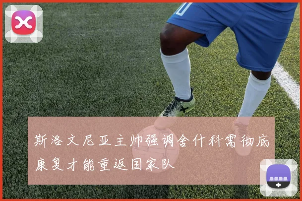 斯洛文尼亚主帅强调舍什科需彻底康复才能重返国家队